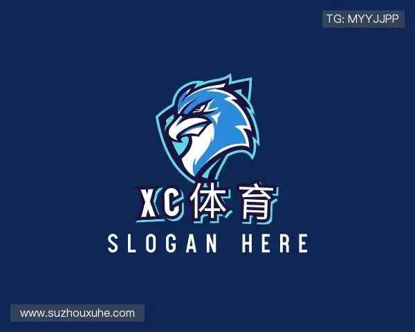 介绍XC体育官网首页